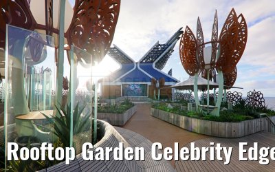 Rooftop Garden Celebrity Edge