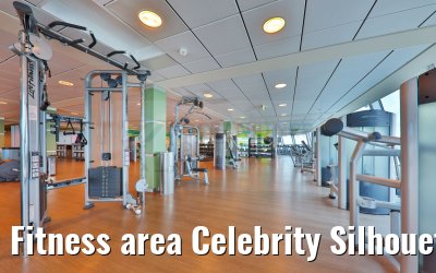 Fitness area Celebrity Silhouette
