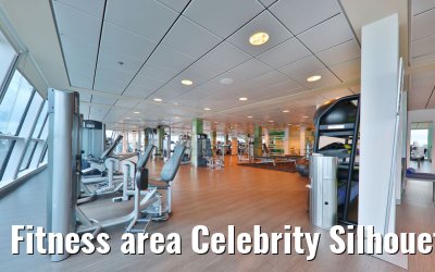 Fitness area Celebrity Silhouette