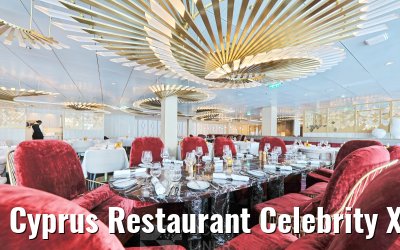 Cyprus Restaurant Celebrity XCel