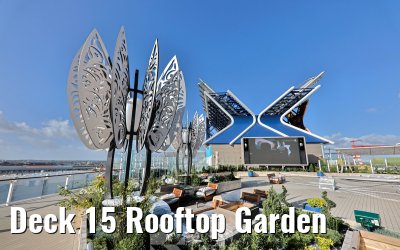 Deck 15 Rooftop Garden