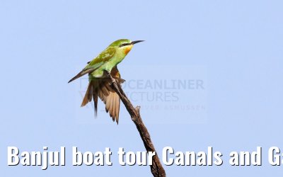 Banjul boat tour Canals and Gambia River 31.12.2023