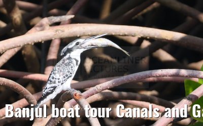 Banjul boat tour Canals and Gambia River 31.12.2023