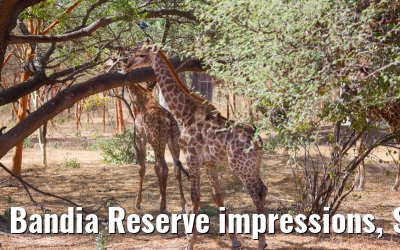Bandia Reserve impressions, Senegal 30.12.2023