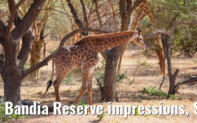 Bandia Reserve impressions, Senegal 30.12.2023