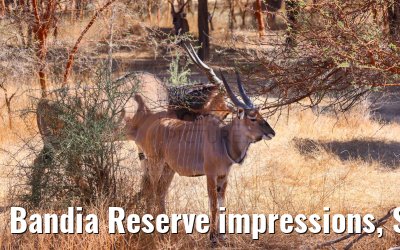 Bandia Reserve impressions, Senegal 30.12.2023