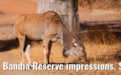Bandia Reserve impressions, Senegal 30.12.2023