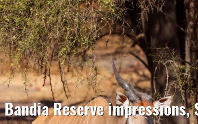 Bandia Reserve impressions, Senegal 30.12.2023