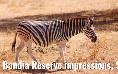 Bandia Reserve impressions, Senegal 30.12.2023