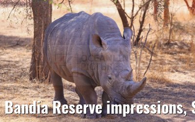 Bandia Reserve impressions, Senegal 30.12.2023