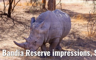 Bandia Reserve impressions, Senegal 30.12.2023