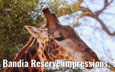 Bandia Reserve impressions, Senegal 30.12.2023