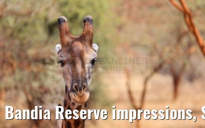 Bandia Reserve impressions, Senegal 30.12.2023