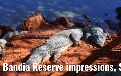 Bandia Reserve impressions, Senegal 30.12.2023