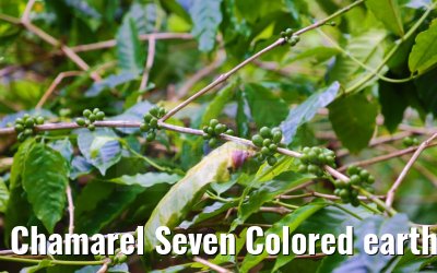 Chamarel Seven Colored earth Geopark Mauritius 28.01.2024