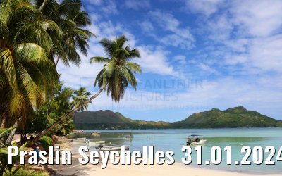 Praslin Seychelles 31.01.2024