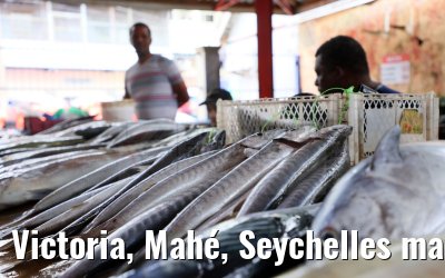Victoria, Mahé, Seychelles market impressions 01.02.2024