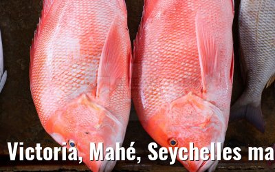 Victoria, Mahé, Seychelles market impressions 01.02.2024