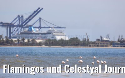 Flamingos und Celestyal Journey Walvis Bay 10.01.2024