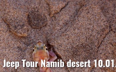 Jeep Tour Namib desert 10.01.2024