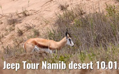Jeep Tour Namib desert 10.01.2024
