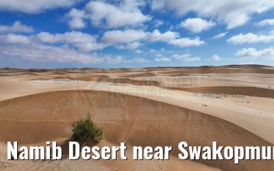 Namib Desert near Swakopmund 11.01.2024