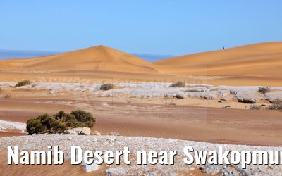 Namib Desert near Swakopmund, Namibia 11.01.2024