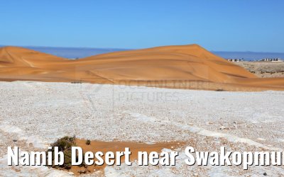 Namib Desert near Swakopmund, Namibia 11.01.2024