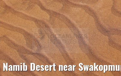 Namib Desert near Swakopmund, Namibia 11.01.2024