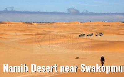 Namib Desert near Swakopmund, Namibia 11.01.2024