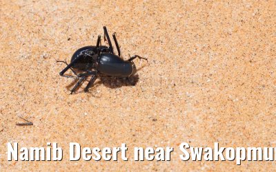 Namib Desert near Swakopmund, Namibia 11.01.2024