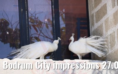 Bodrum City impressions 27.07.2022