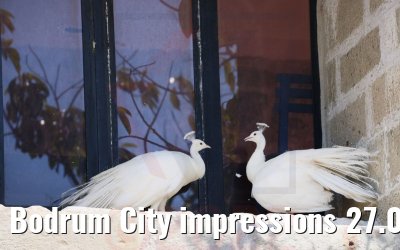 Bodrum City impressions 27.07.2022