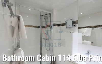Bathroom Cabin 114 Elbe Princesse II
