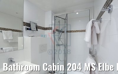 Bathroom Cabin 204 MS Elbe Princesse II