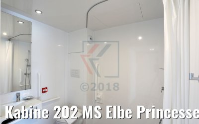 Kabine 202 MS Elbe Princesse II Bad Rollstuhl