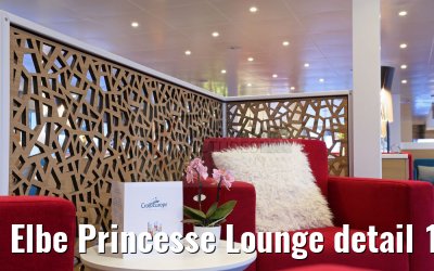 Elbe Princesse Lounge detail 17.04.2016