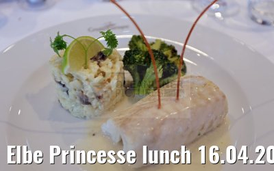 Elbe Princesse lunch 16.04.2016