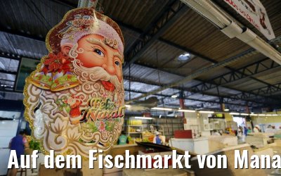 Auf dem Fischmarkt von Manaus 02.01.2015