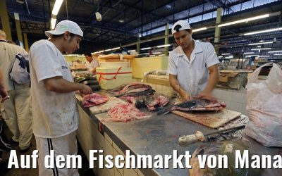 Auf dem Fischmarkt von Manaus 02.01.2015