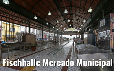 Fischhalle Mercado Municipal Manaus 02.01.2015