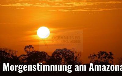 Morgenstimmung am Amazonas MS Hamburg 03.01.2015