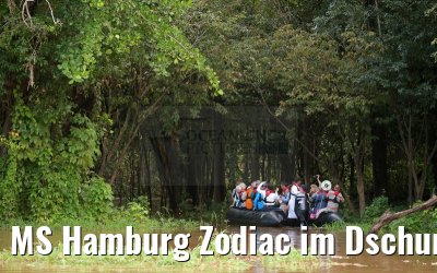 MS Hamburg Zodiac im Dschungel am Amazonas 04.01.2015
