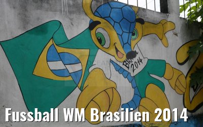 Fussball WM Brasilien 2014