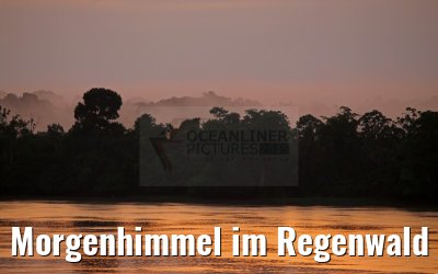 Morgenhimmel im Regenwald am Amazonas 05.01.2015