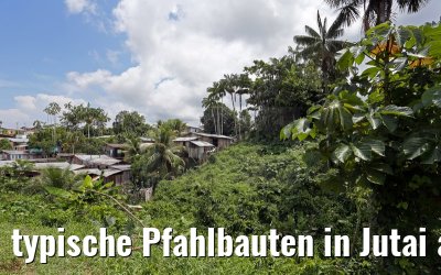 typische Pfahlbauten in Jutai am Amazonas 05.01.2015