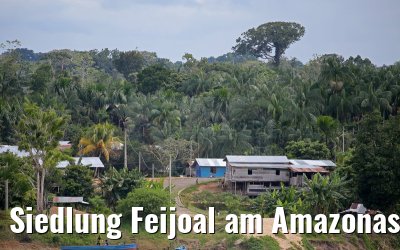 Siedlung Feijoal am Amazonas 06.01.2015