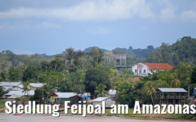 Siedlung Feijoal am Amazonas 06.01.2015