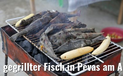 gegrillter Fisch in Pevas am Amazonas 07.01.2015