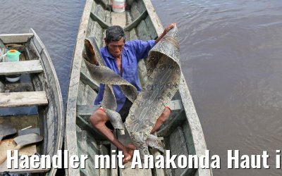 Haendler mit Anakonda Haut in Pevas am Amazonas 07.01.2015